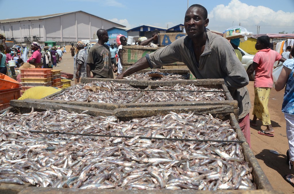 Gov’t cancels close fishing season for artisanal fishermen, keeps ban on trawlers during period