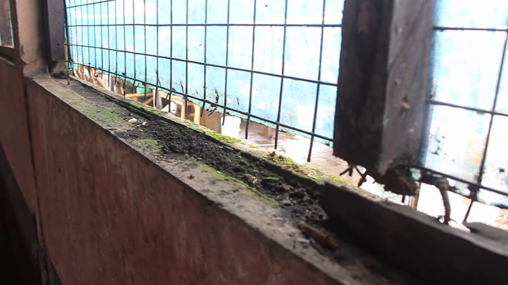 Mafi Adidome abattoir cries for complete renovation