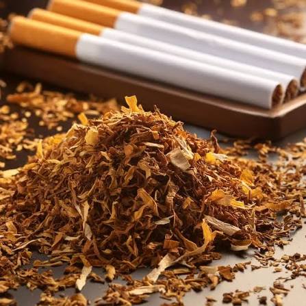 Closure of Tobacco and Cigarette Production in Ghana: A blow to the Economy, not to smoking habits
