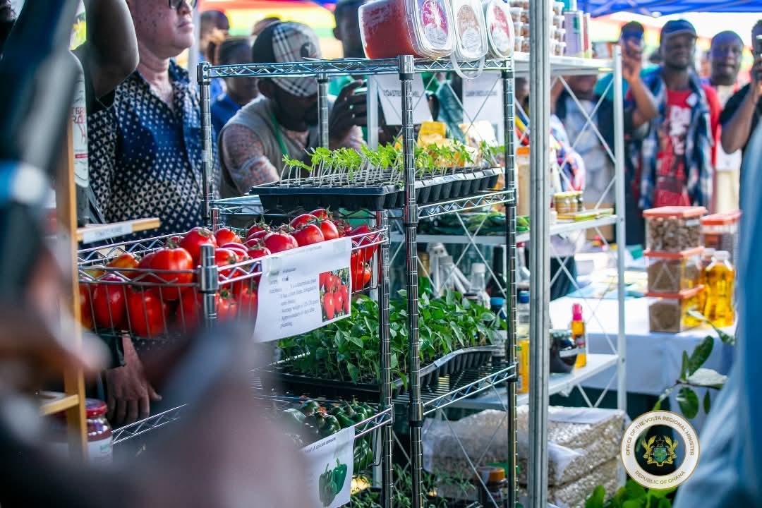 National Agricultural Fair and Exhibition Officially Launched in Ho