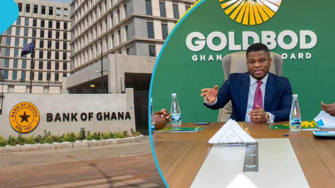 BoG and Goldbod Controversy: Why Facts and Context Must Guide Public Judgment