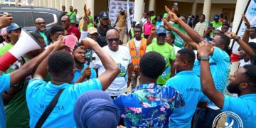 NHIS Campus Connect Expands to UEW