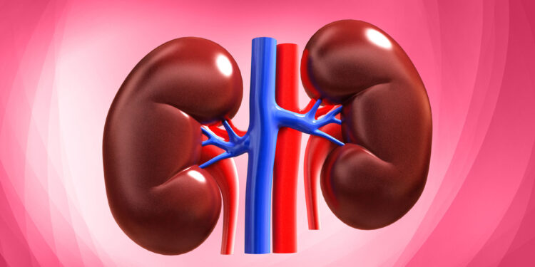 GoldBod Supports World Kidney Day 2026
