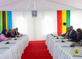 President John Mahama holds bilateral talks with Samia Suluhu Hassan, President of United Republic of Tanzania