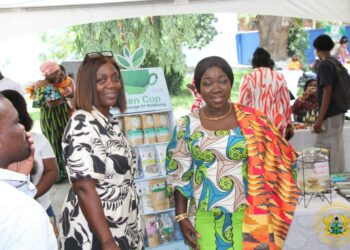Govt Pushes Scaled Investment in Women Entrepreneurs at Accra Summit- Veep