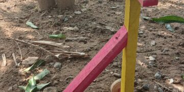How Africa sustained Baby Bicycle -teaching Ghana’s kids how to walk