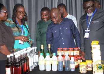 Gov’t Pushes for Cashew Apple Valorization to Boost Agro-Processing and Economic Growth