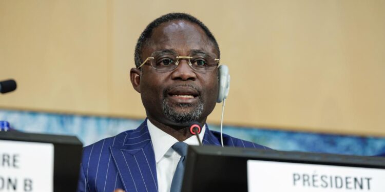 Ghana’s Health Minister elected Chair of WHO Committee B