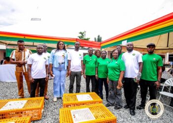 Volta Region launches Nkoko Nkitinkiti Programme with 180,000 Chicks 