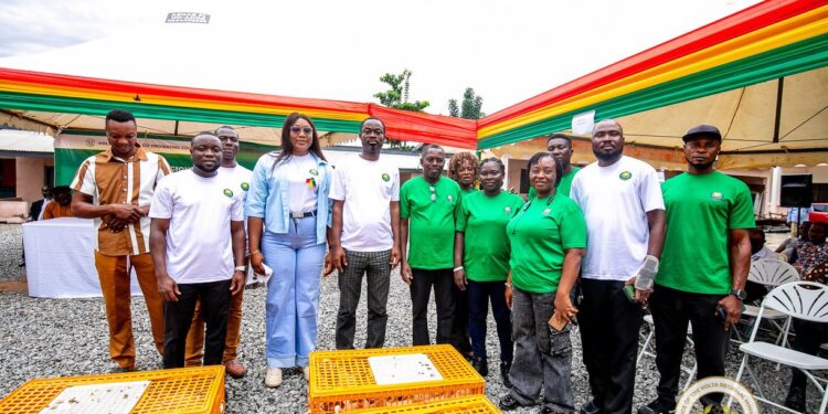 Volta Region launches Nkoko Nkitinkiti Programme with 180,000 Chicks