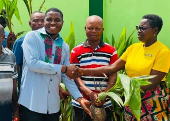 MP distributes 4,000 Coconut Seedlings to Farmers in Ketu North