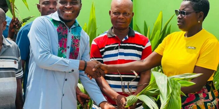 MP distributes 4,000 Coconut Seedlings to Farmers in Ketu North