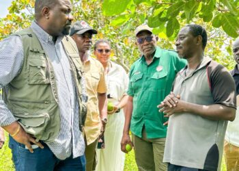 Kpando MP taps into Gov’t Flagship Projects to expand Farms, Create Jobs for Youth