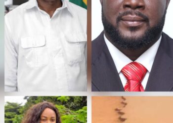 How MMDAs fail to leverage the DRIP for their People: The Case of Anlo, Keta, and Ketu South