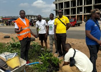 Teachers plant 117 Trees to Boost Greener Environment in Ga South