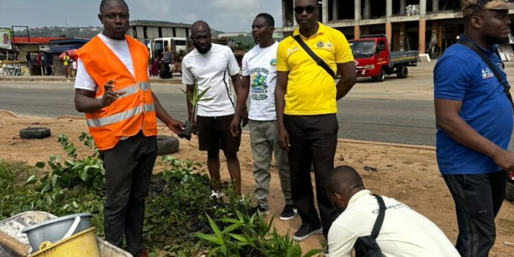 Teachers plant 117 Trees to Boost Greener Environment in Ga South