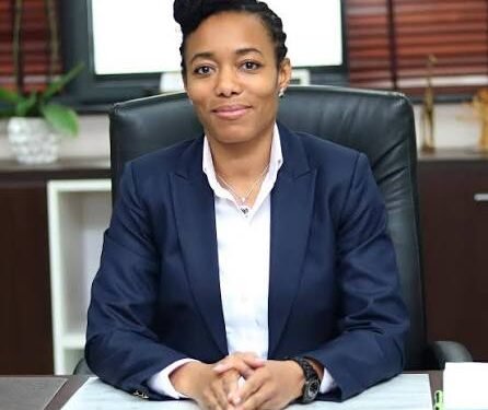Zanetor Pledges Stronger Coordination to Tackle Galamsey and Environmental Challenges