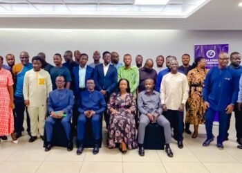 Energy Commission leads Stakeholder validation of Integrated Power System Master Plan